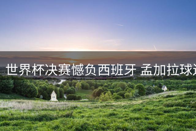 世界杯决赛憾负西班牙 孟加拉球迷痛哭画面引全球共鸣