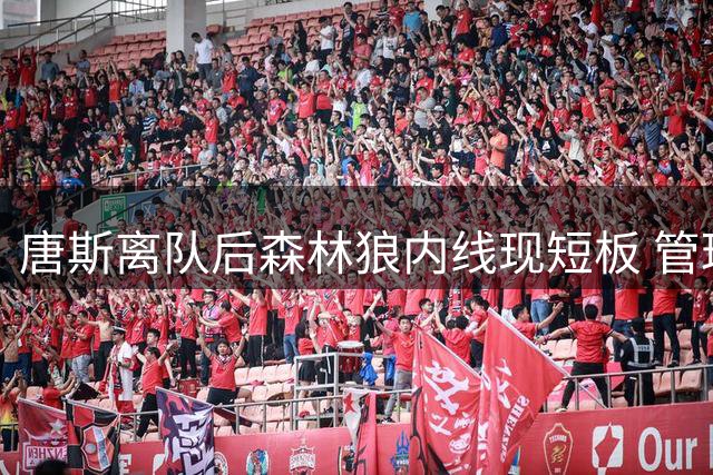 唐斯离队后森林狼内线现短板 管理层坦承将持续引援补强