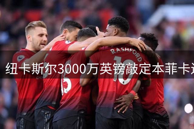 纽卡斯尔3000万英镑敲定本菲卡边卫德迪奇 波黑国脚周日体检